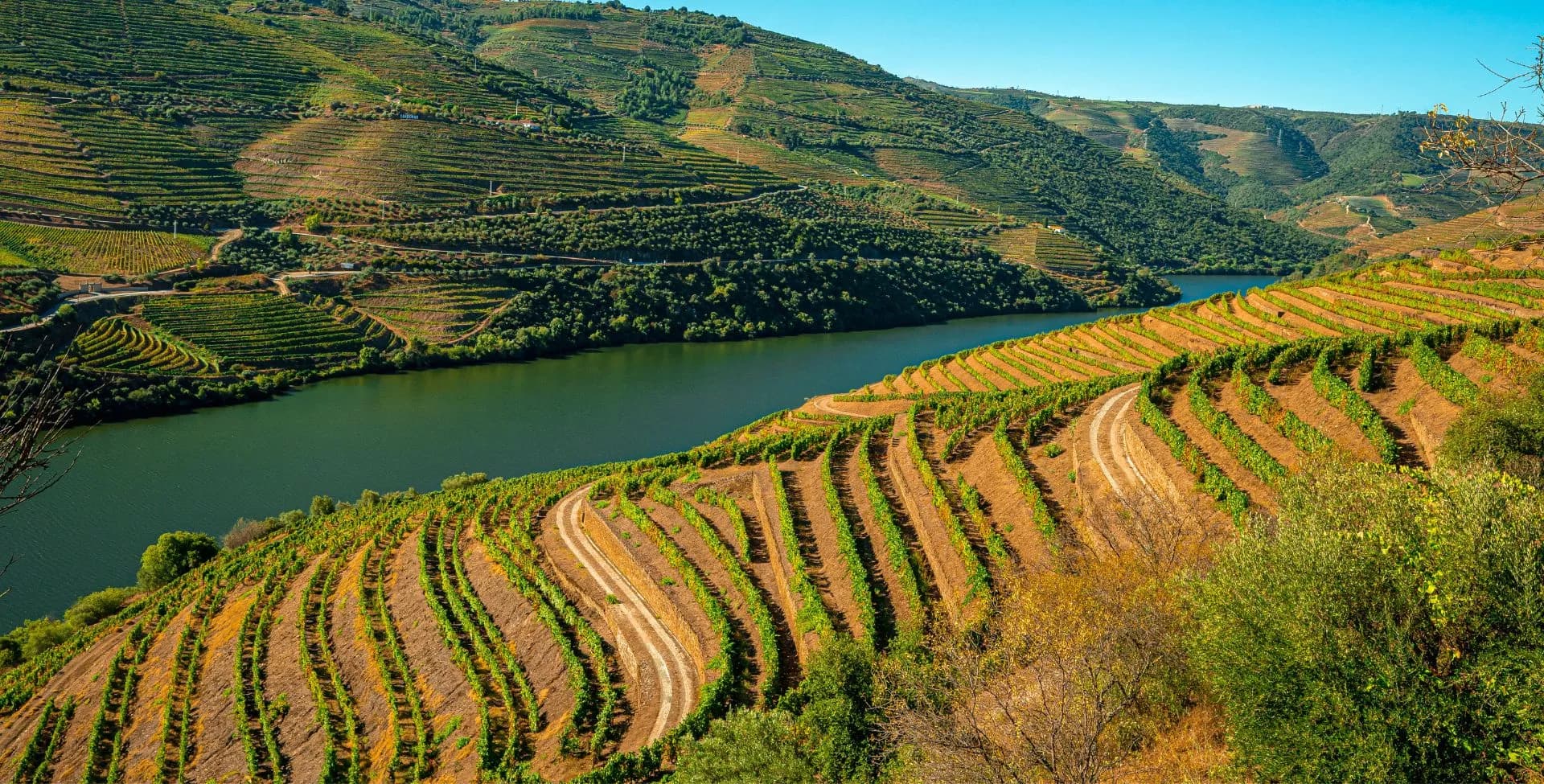 Vale do Douro